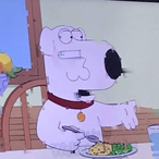 FamGuyBrian's Avatar'