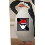 ErsteDateDrueckn's Avatar'