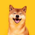 Rowter_JM's Avatar'