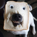 SmellyBoi's Avatar'