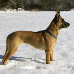 Matilus6.35's Avatar'