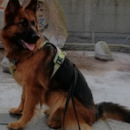 Molsen78_DK's Avatar