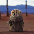 Gengis.Panto's Avatar'