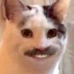 LeBlarg's Avatar'