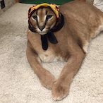 MOU3ADREZ03's Avatar'