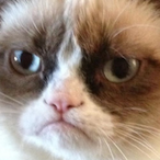 smogmaendFan's Avatar'