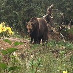 xprt shadowkill's Avatar