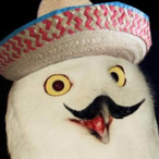 tt-dihchzr6's Avatar'