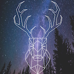 Caribou.-'s Avatar'