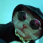 Chunk3Monk3y420's Avatar'