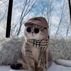 SOYHEYAIMAK's Avatar'