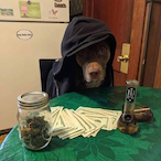 spams rollr's Avatar'