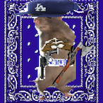 Disloxic's Avatar'