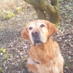 IMPxSHOWT3K's Avatar'