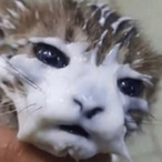 DrSluggworth's Avatar'