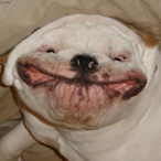 DidIHurtYou2's Avatar'