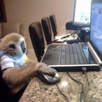 Registerd's Avatar'
