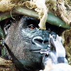 Crankin_My_Hog's Avatar'