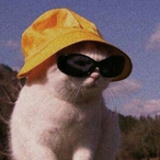 o Raidlol's Avatar'