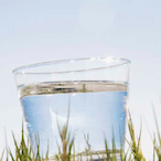 Arn2Fast4U's Avatar'