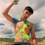 whoisnalok's Avatar'