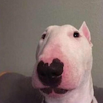 CroissantPlays's Avatar'