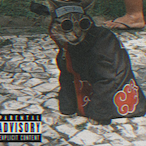 El Rick XD's Avatar'