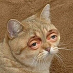 Mortahlity's Avatar'