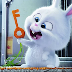 Chamomiless's Avatar'