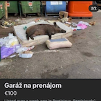 Divjak69's Avatar'