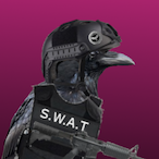 RavenFire52's Avatar'