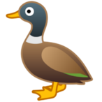 syncoFAN's Avatar'