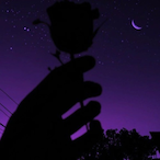 Zymz.'s Avatar'