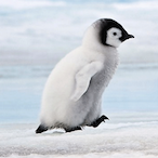 playfulbunni's Avatar'