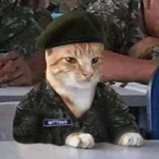 Cpl_Mittens's Avatar'