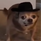 JFK_SNIPER's Avatar'