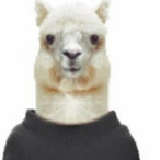 Alpaca.CDR's Avatar'