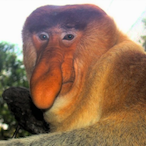 LigmaXBean's Avatar'