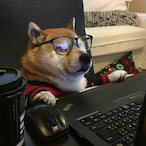 zmip's Avatar'