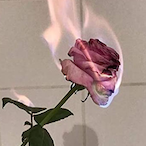 ZLM_6854's Avatar'