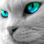 Prego at 9's Avatar'