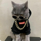 Jyordi90's Avatar'