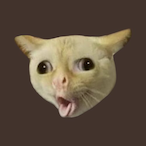AsianChoirBoy's Avatar'