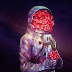 Dsoi's Avatar'