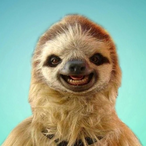 guuskeplay11's Avatar'