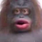 Lag_The_Cromag's Avatar'