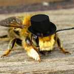 JustABee8067's Avatar'