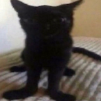 aTeamAndaDream's Avatar'