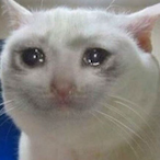 Lxnaenine's Avatar'