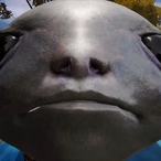SpoingyBoi's Avatar'